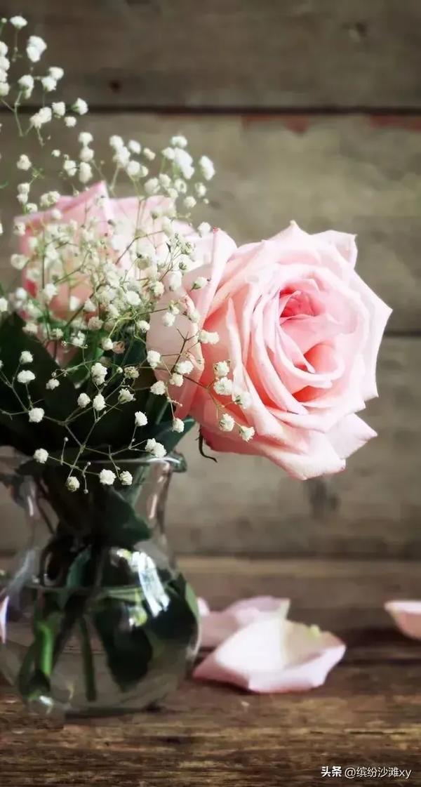 珍惜亲情的名言名句(关于珍惜亲情的名人名言)