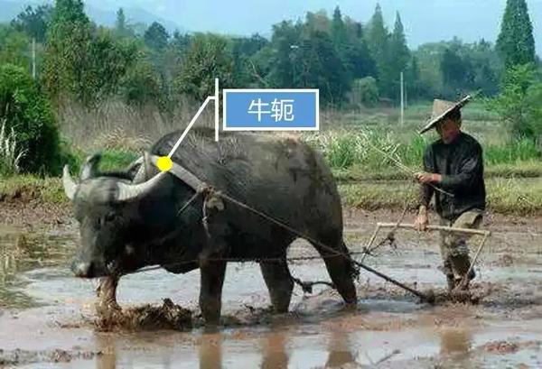 梭怎么读音是什么意思（梭趱怎么读）