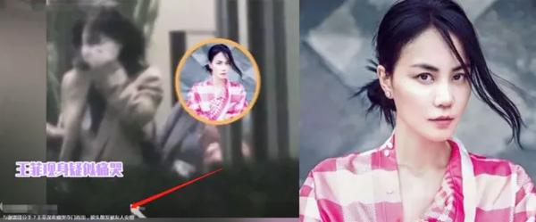 王菲照片(王菲照片)