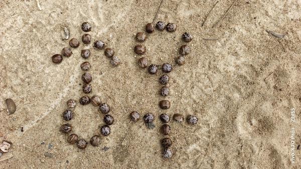 古典占星符号(古典占星符号如何解读)