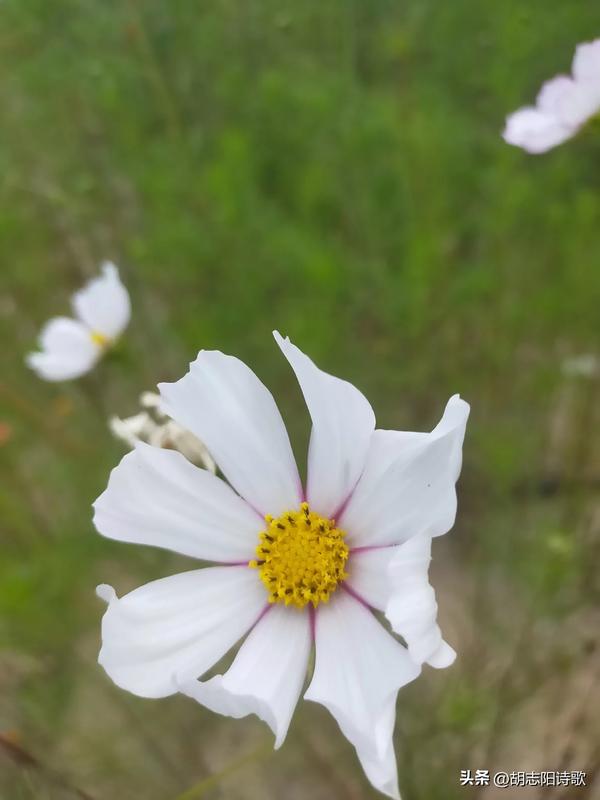 2021年上海演唱会行程(2021上海近期演唱会一览表)