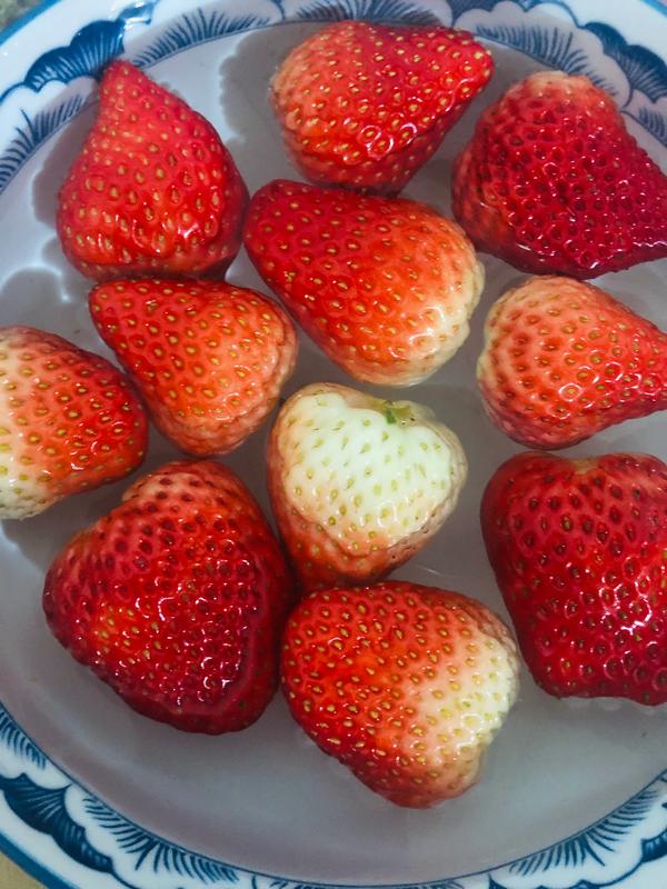 红红的什么(红红的什么填空一年级)