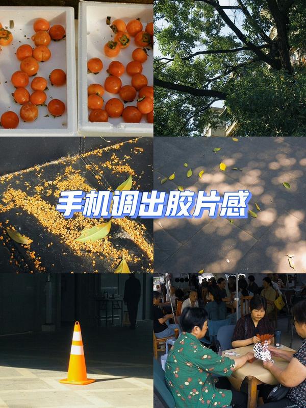 手机上最好的视频调色软件(最好用的手机视频调色软件)