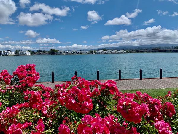 6月7日是什么纪念日(6月6日是什么纪念日)