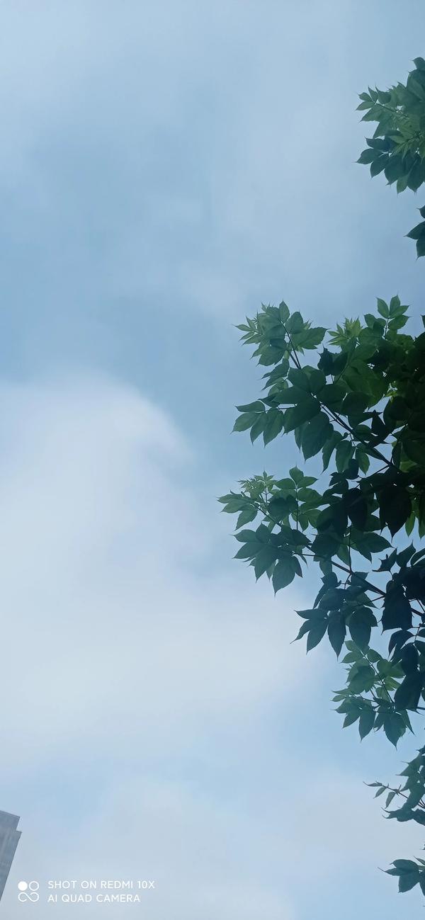 6205345905_d59a564256-160x160