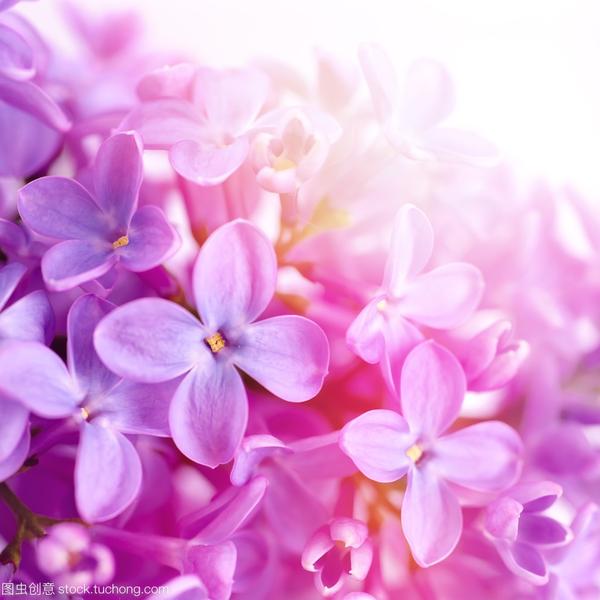 恋爱的味道做了的时间(恋爱的味道多长时间)