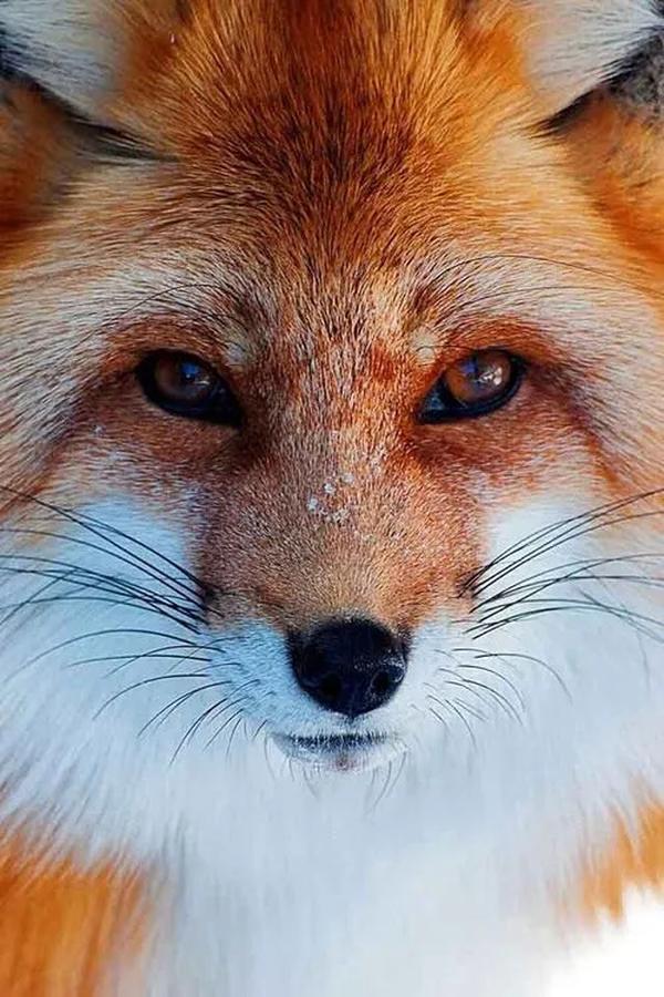 主角性格温和的修仙小说（主角非常苟的修仙小说）