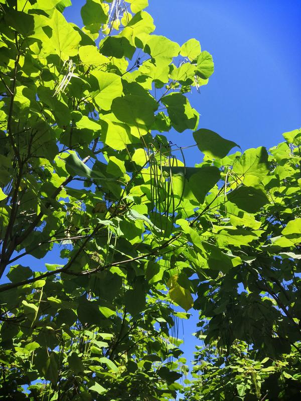 历史上四大经济危机（历代经济危机）
