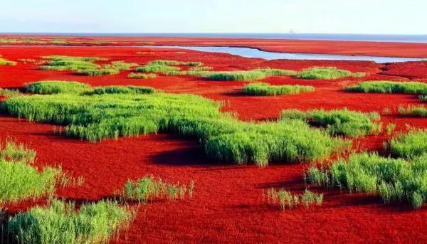 君子不器 不为物役（君子不器 不为物役什么意思）