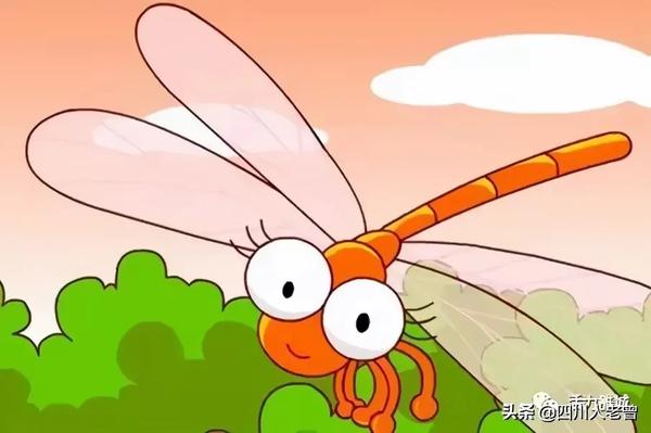 100种动物拼音带声调(100种动物拼音带声调怎么读)