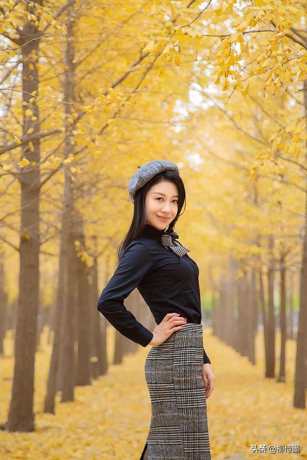 照相技术的基本知识(照相技术的基本知识ev代表)