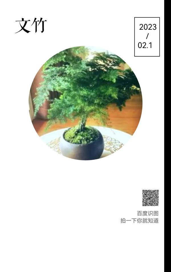 百度图片识别搜索(百度扫一扫识别图片在线入口)