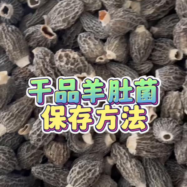 expr