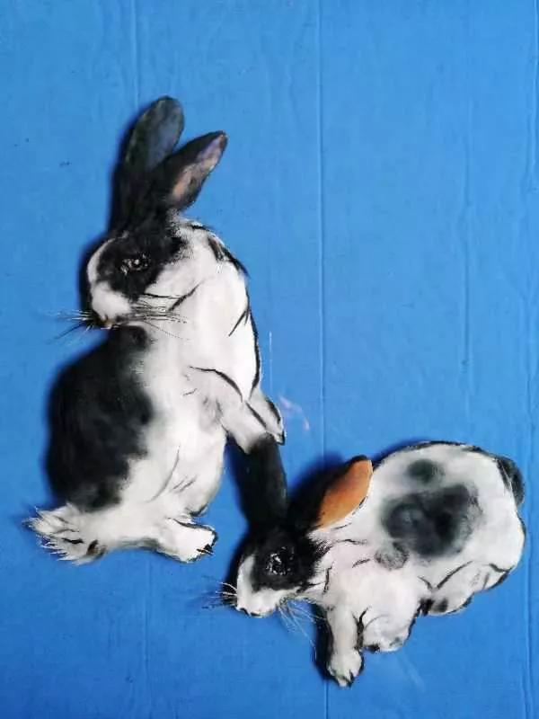 兰花在十二生肖代表什么生肖(兰花能代表什么生肖)