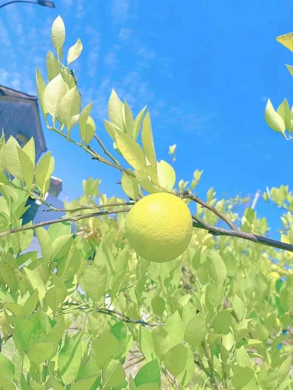 测正缘出现时间（测正缘出现时间牌阵）