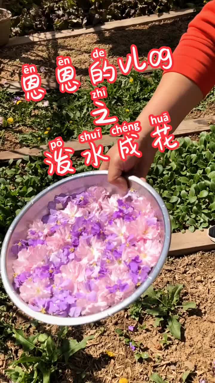 带着恩恩采了花,也来参合一下#泼水成花