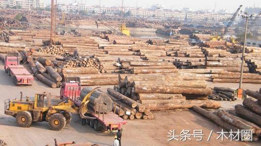 国内木材市场“危”“机”相伴，年底入市补仓动作放慢