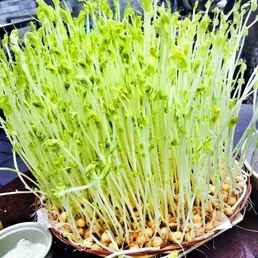 在重庆，吃完这68样美食我们就结婚吧！