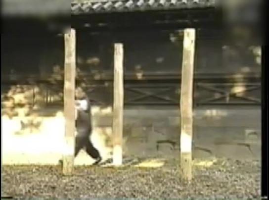 八卦掌站桩图片