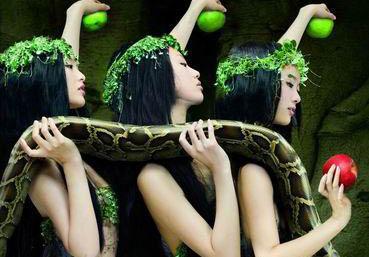 梦见蛇爬到背上，梦境背后的深层含义与解析