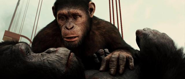 放假闲得慌？这7部关于“猴”的电影你不一定都看过！