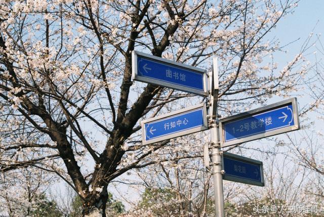 离毕业还有20多天，你还可以在二师做这20件事