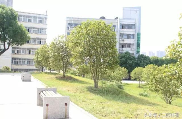 离毕业还有20多天，你还可以在二师做这20件事