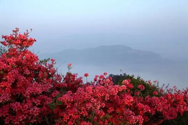再过一个月，黄冈将成为全国最美的地方！