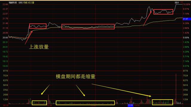 一代“股神”的陨落：像“麻雀”一样炒股,坐着