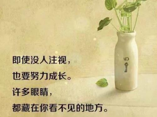 不是因为有了机会才争取，而是因为争取了才有机会