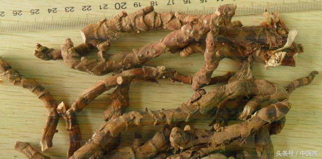 石菖蒲图片中药