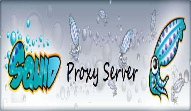 五大开源Web 代理服务器横评：Squid、Privoxy、Varnish、Polipo、Tinyproxy