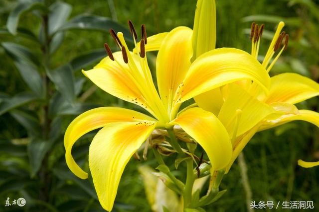 什么是真正的婚姻？请看一个40岁人的真实感悟