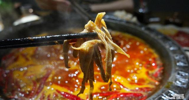贵阳的重庆火锅，就这几家味道最棒！