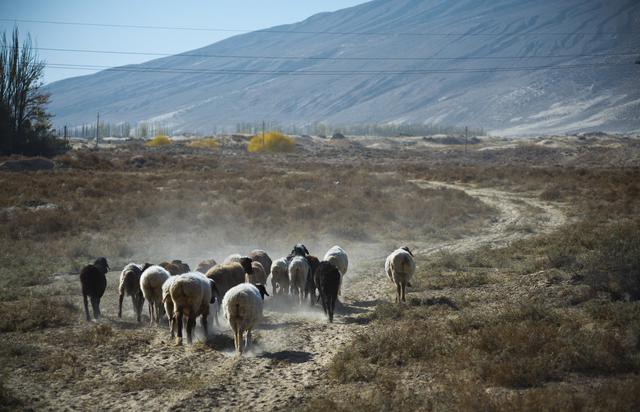 新疆最适合自驾游的地方，一路过去美爆了，去过的人都想再去一次