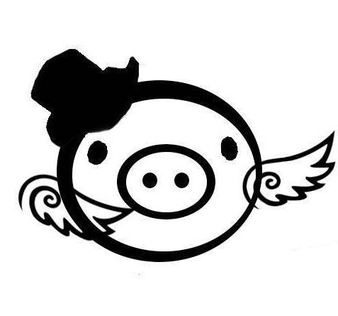 r3kapig：校园明星