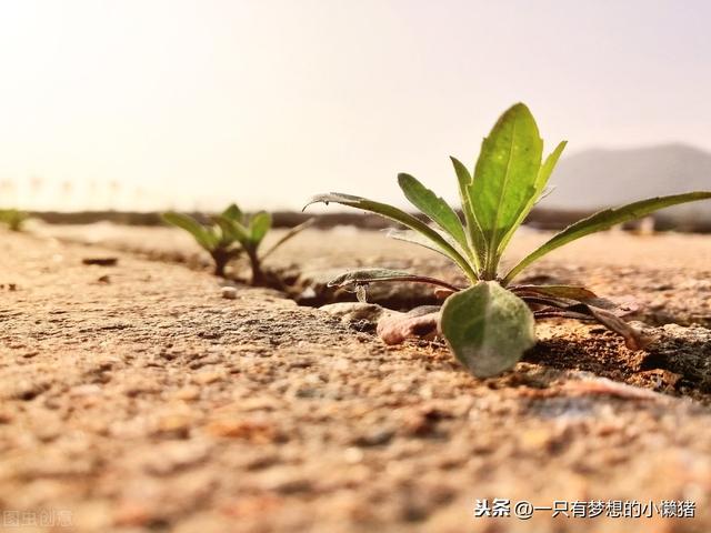 穷就是原罪，你越贫弱，生活越会刁难你