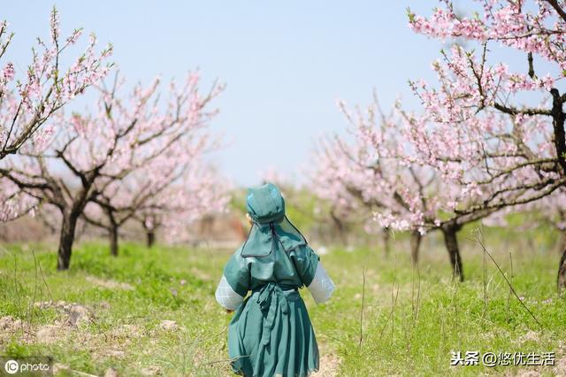 原句是,本仙女正在下凡历劫,一种调侃.