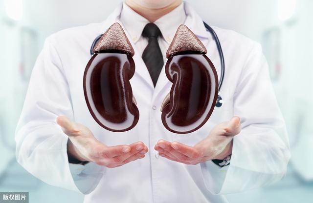 高尿酸会伤害肾功能，在肾衰竭来临前，医生教你如何正确降酸