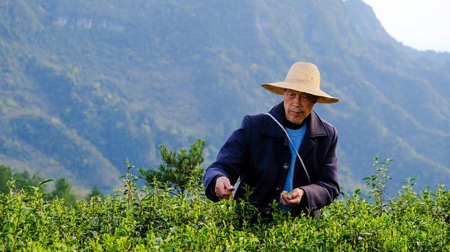 我国五大新型农业技术，你了解多少？科学种植提升产量