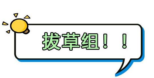 纯物理防晒真的好？可能又闷又厚，拔草与种草5款纯物理防晒霜