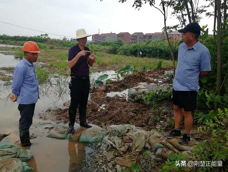 湖北武穴花桥镇：让党旗在丰收大港高高飘扬