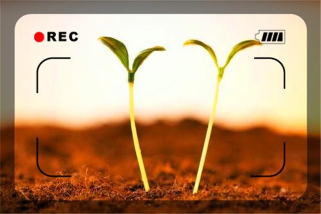 公司黄了媳妇跑了，一个中年创业失败者，希望