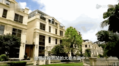 被亚洲女首富“抛弃”，差点被刘德华“害死”