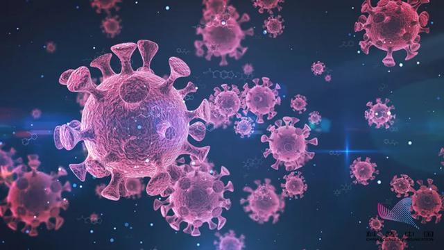中国团队发现可阻断新冠病毒感染的人源单克隆抗体
