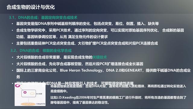 未来生物科技技术：合成生物学概述及应用