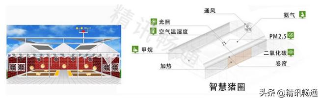 精讯畅通：智慧畜牧养殖解决方案