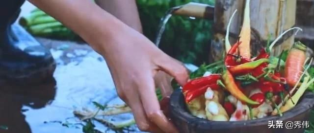 隐居山林过心中向往的生活，李子柒不忘初心，