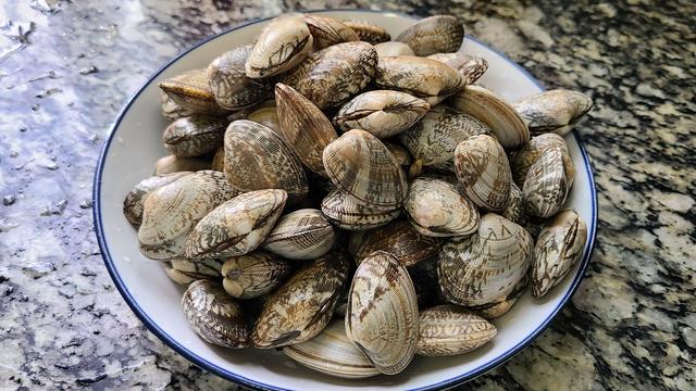 冬瓜的简单做法，广东人天气热经常吃的一道家常菜，鲜香美味