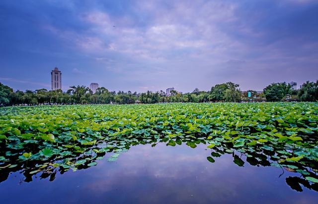 成都-大理！开通直达高铁，火锅串串和苍山洱海都可以拥有